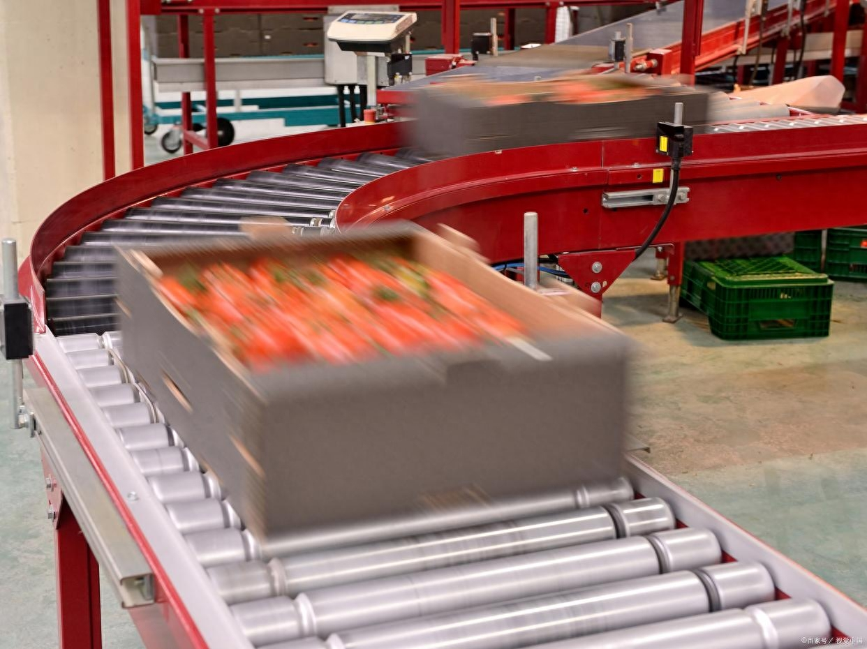 The Applicable Scope and Advantages of the Roller Line in the Intelligent Logistics Warehouse Sorting System